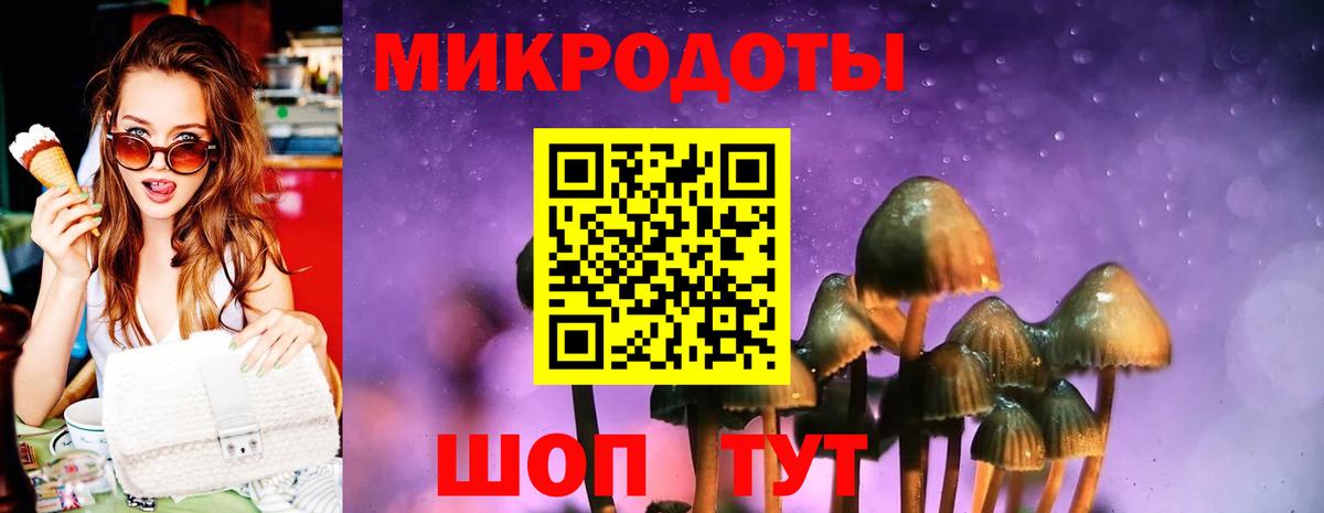 Галлюциногенные грибы прущие грибы Изобильный
