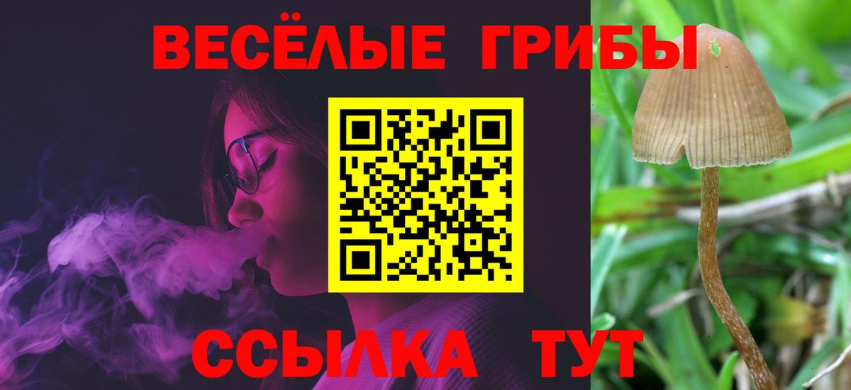 Галлюциногенные грибы мицелий  Вход с VPN  Изобильный 